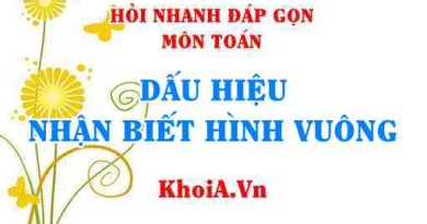 Dấu hiệu nhận biết hình vuông là gì? Hỏi nhanh đáp gọn môn Toán